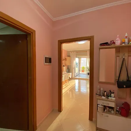 For Rent Apartament 1+1 Komuna E Parisit Apartment Tirana